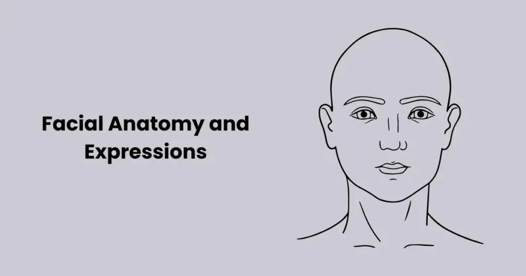 Facial Anatomy and Expressions