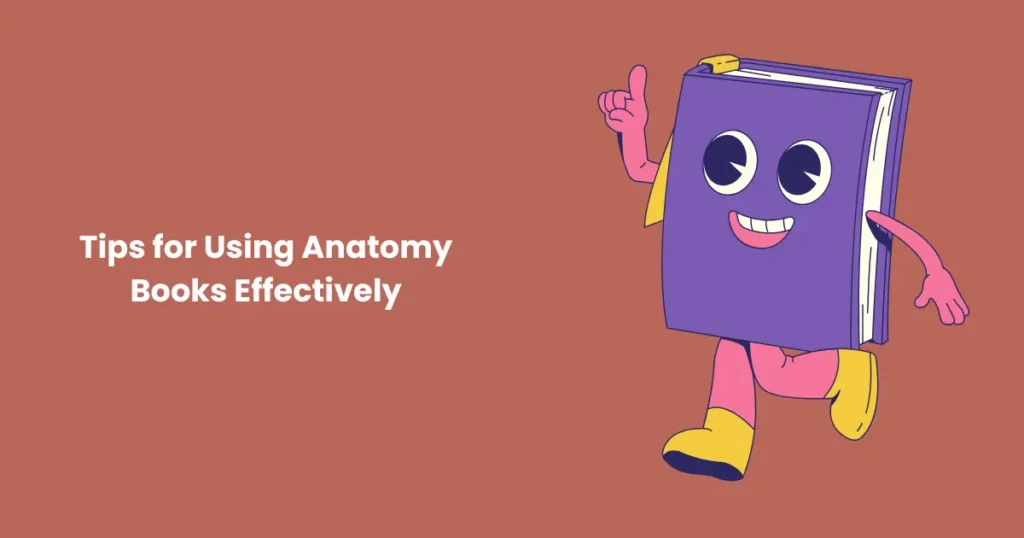 Tips for Using Anatomy Books Effectively