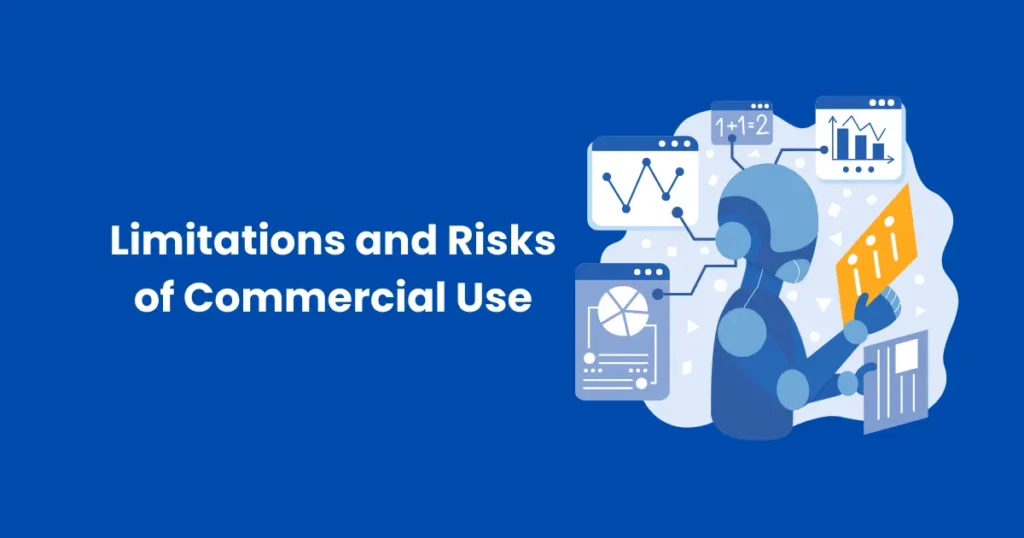 Limitations and Risks of Commercial Use