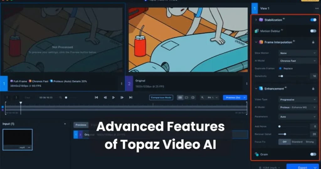 Advanced Features of Topaz Video AI